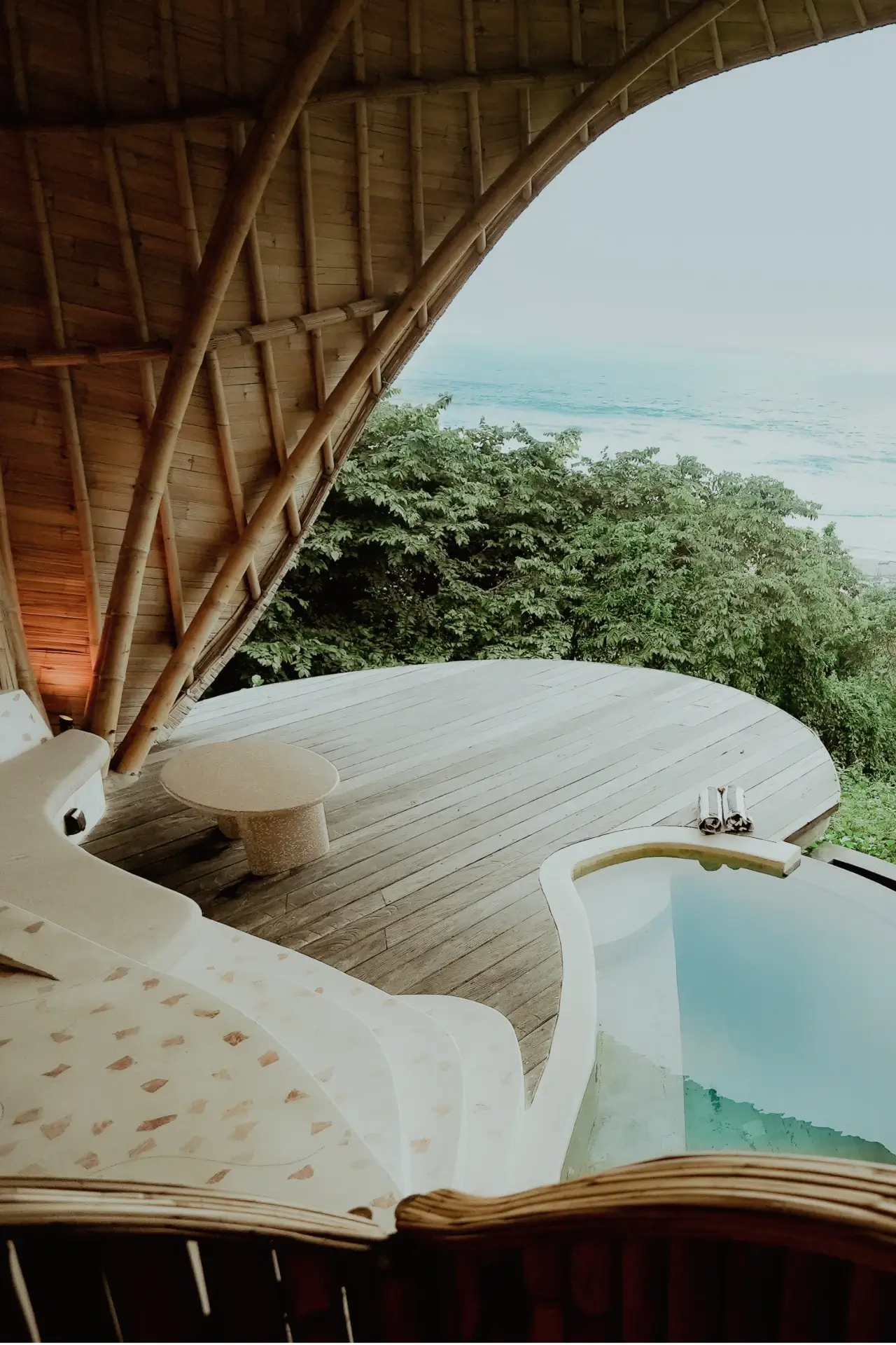 Bamboo view pool deck and plants